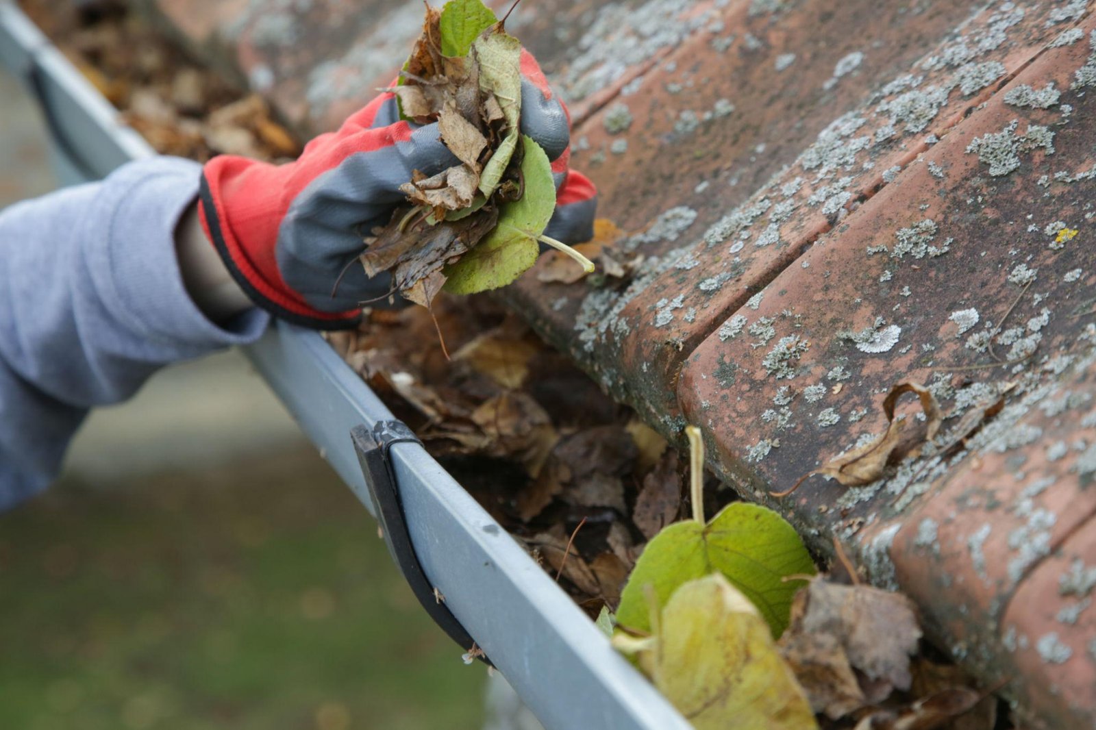 7 Critical Steps to Audit Your Gutters Before the First UK Frost