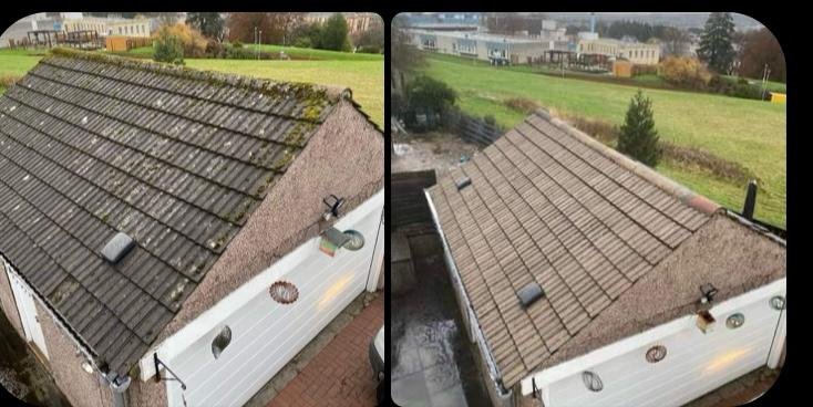 Professional Roof Cleaning Service - Moss Removal